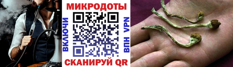 Купить где  Минусинск  Галлюциногенные грибы Psilocybine cubensis 